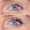 Lash and Lip Edit