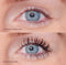 Lash and Lip Edit