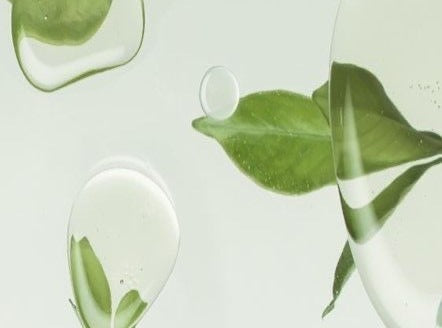 Centella Asiatica Extract